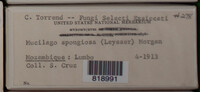 Image Associated With the Occurrence